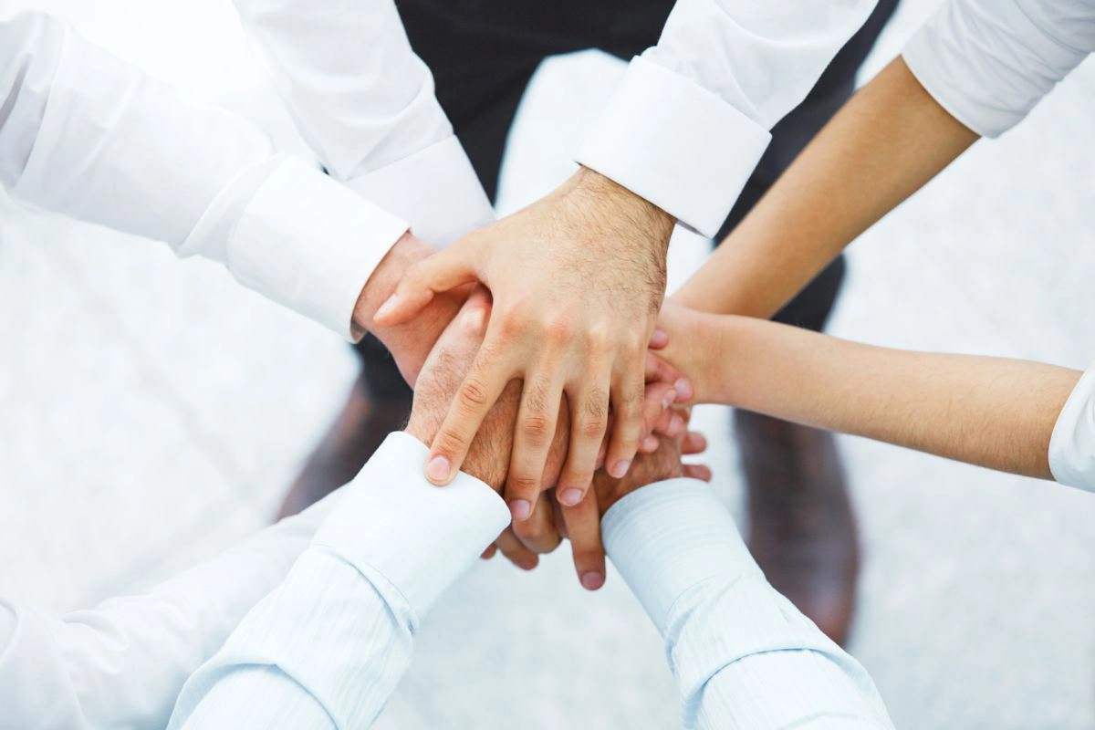 برترین نرم افزارهای مدیریت بازاریابی